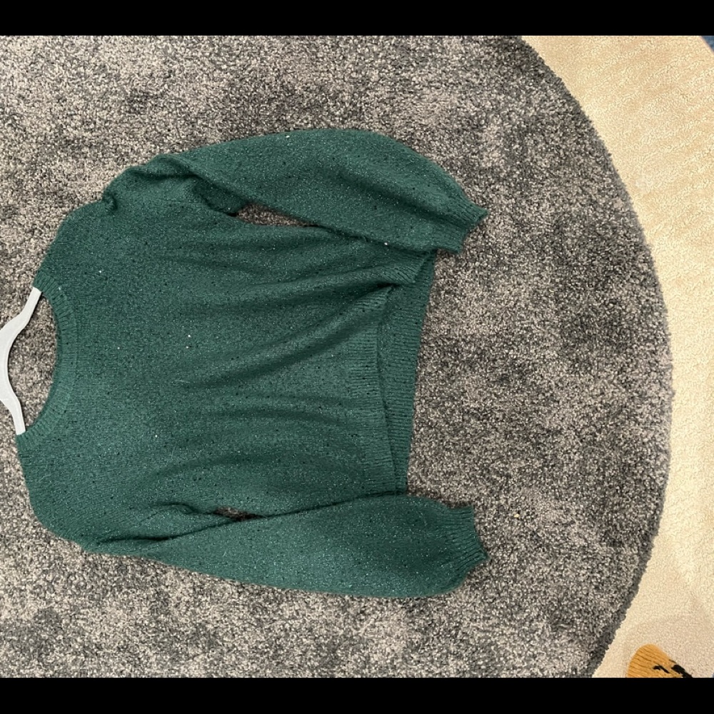 Tucker + tate green sparkle sweater